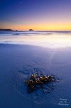 jade cove sunset.jpg